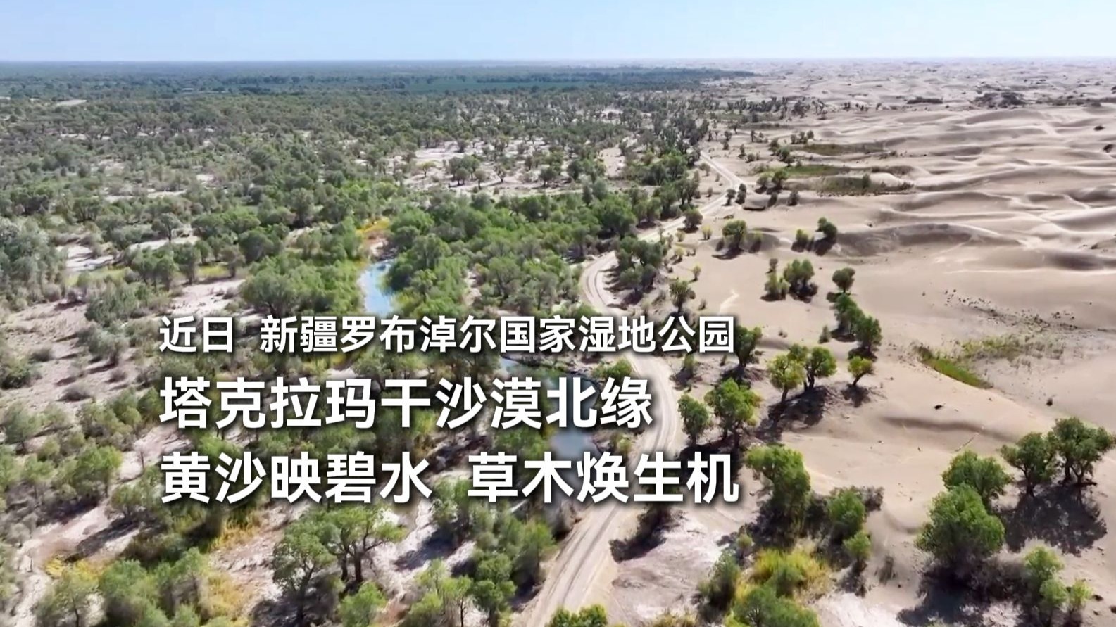 近日，新疆罗布淖尔国家湿地公园，塔克拉玛干沙漠北缘，黄沙映碧水