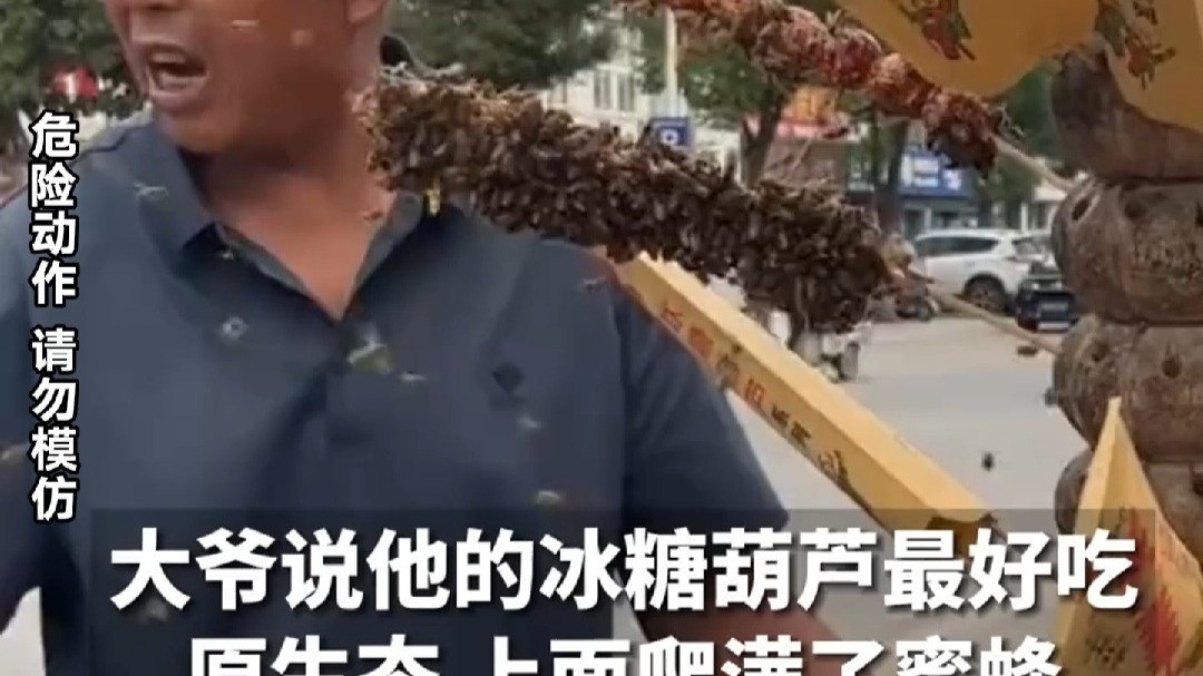 大爷说他的冰糖葫芦最好吃 原生态 上面爬满了蜜蜂