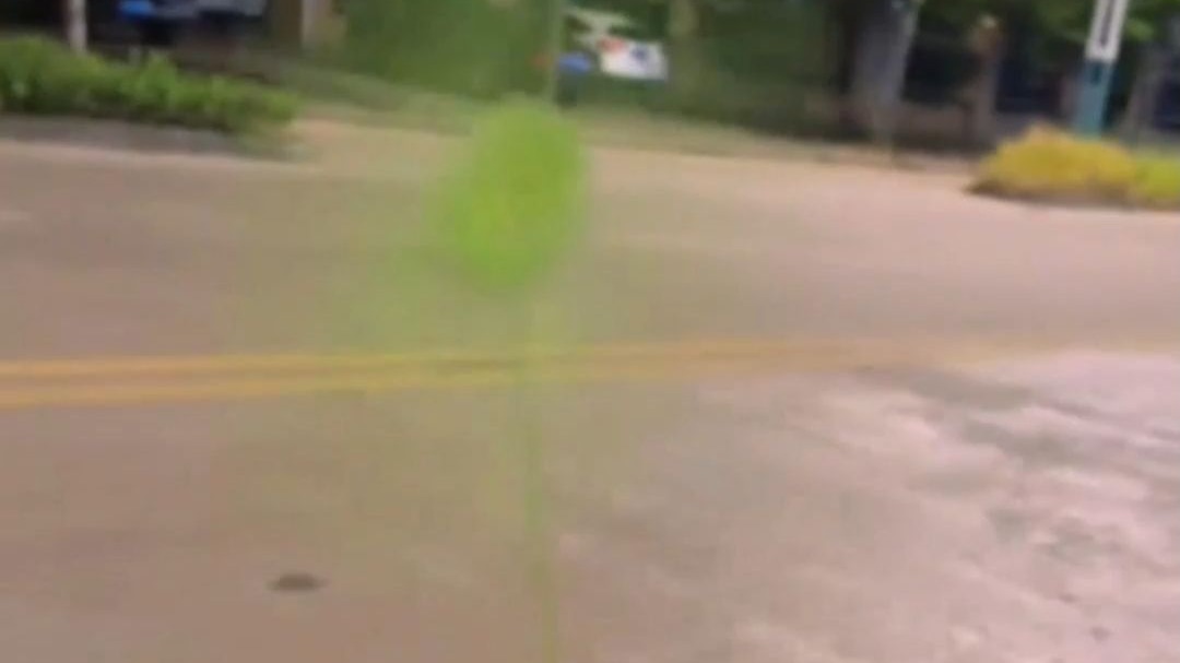 教你简单几步做全网爆火的芦苇小风车！
