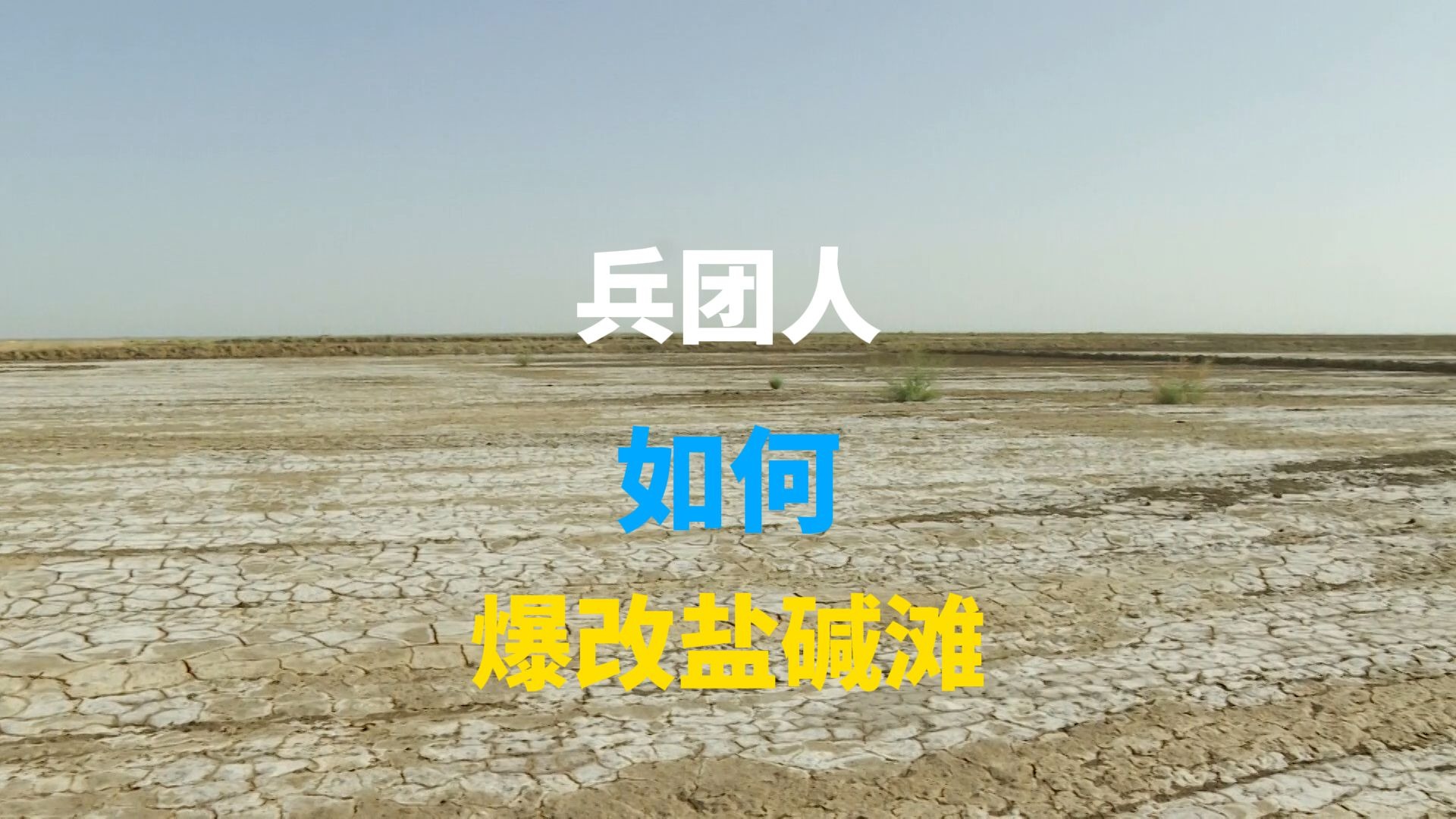 盐碱地曾被视作农业发展的禁地，兵团人用“暗管排盐”、“深耕