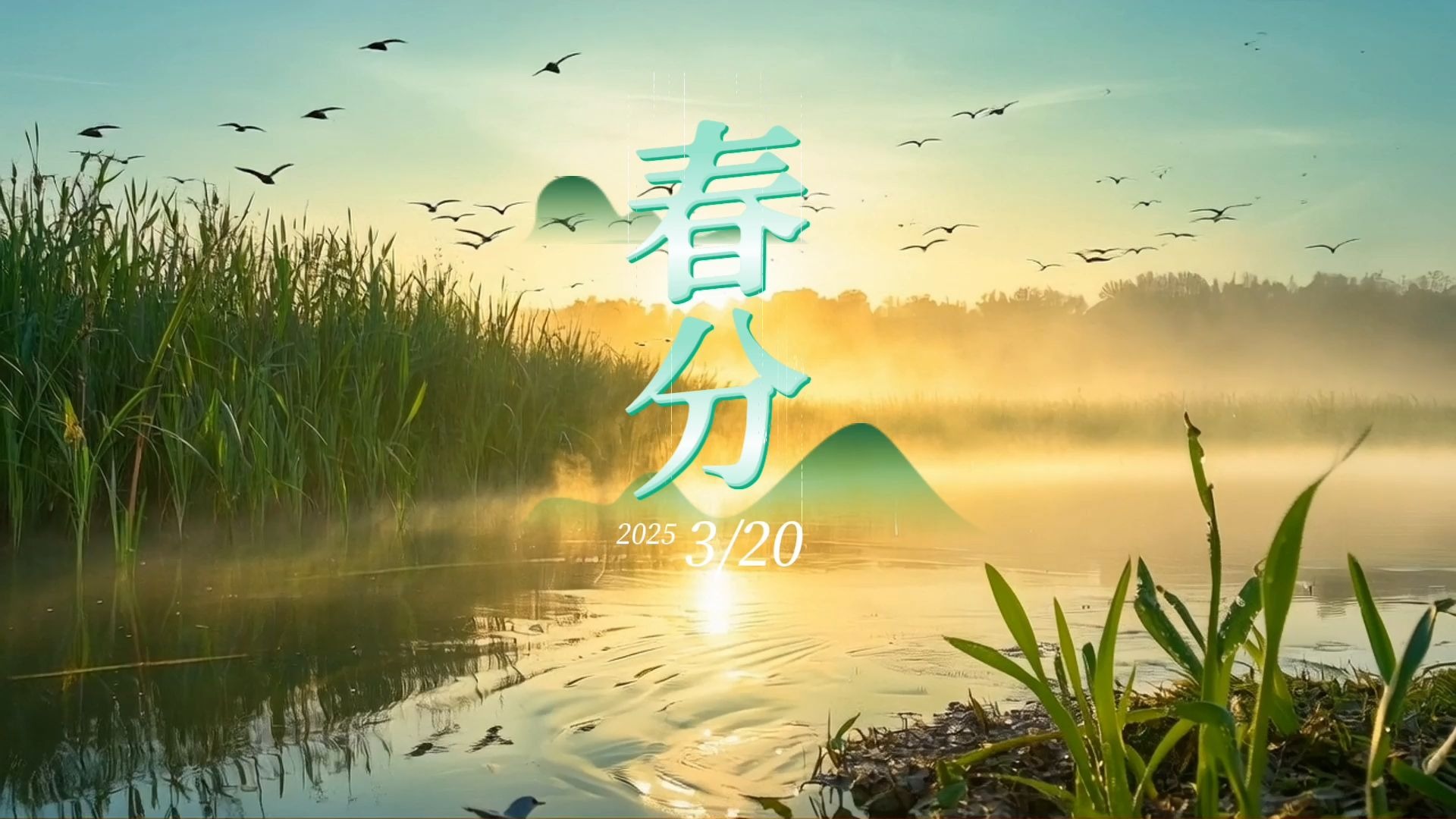 守护湿地生态平衡！让每一口春鲜都能抵达下一个春天 ，让地球上