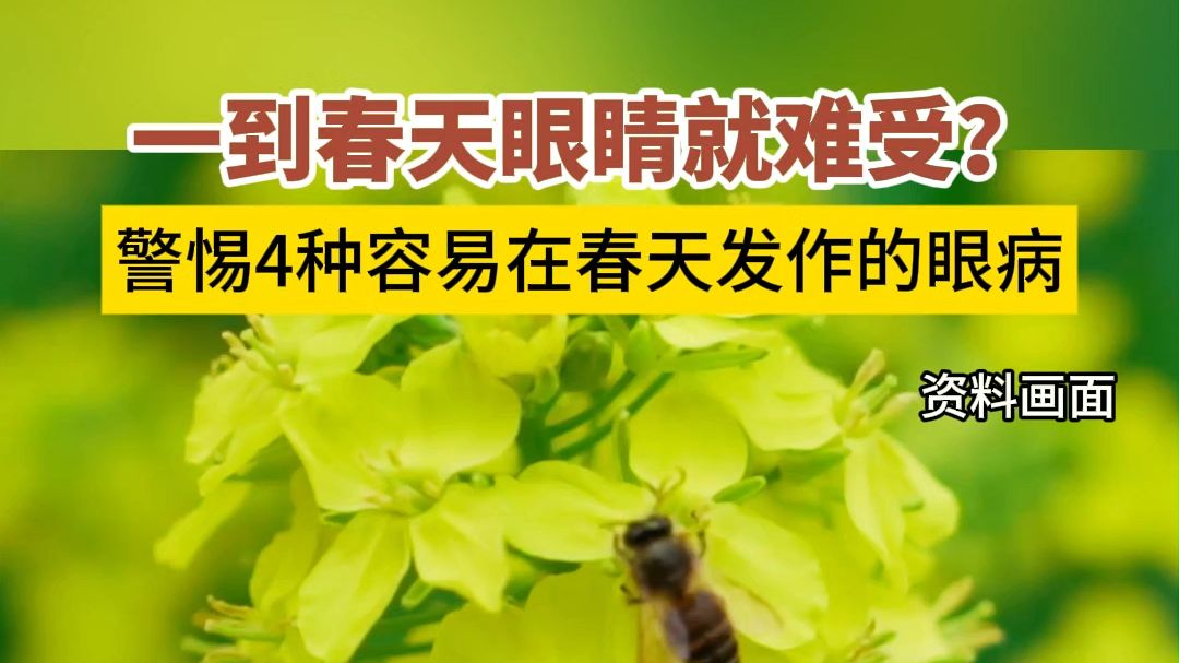为什么一到春天眼睛就难受？警惕4种容易在春天发作的眼病。
