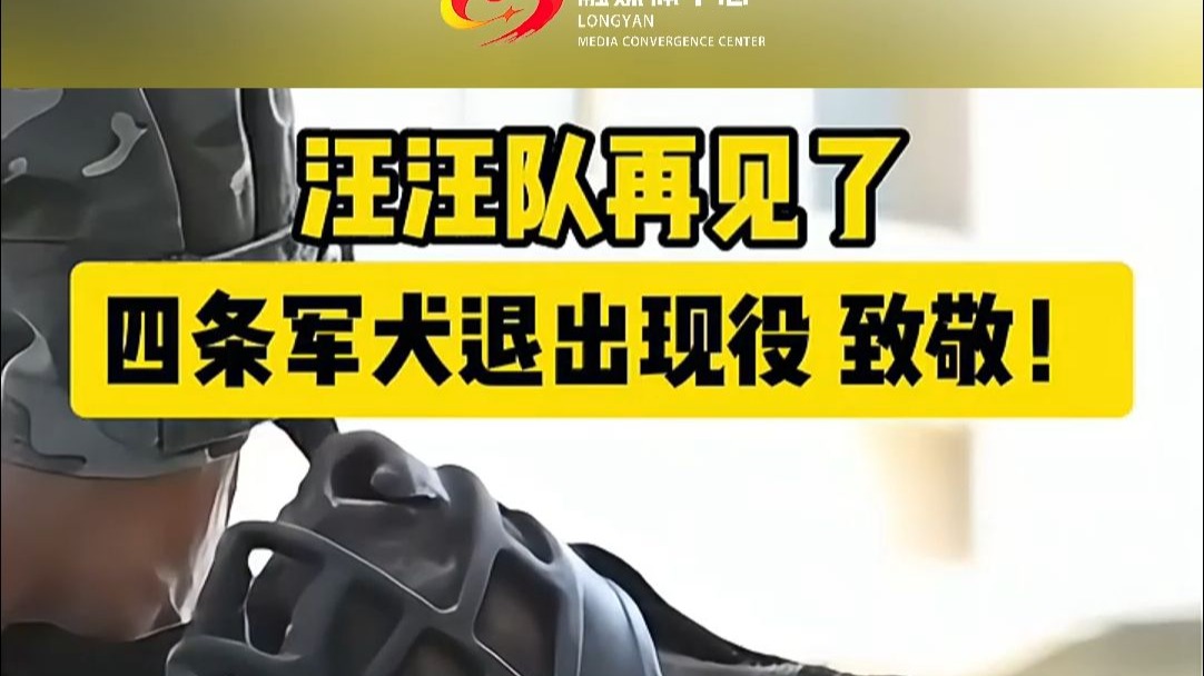 汪汪队再见了！四条军犬退出现役，致敬！ （来源：中国青年报、BRTV新