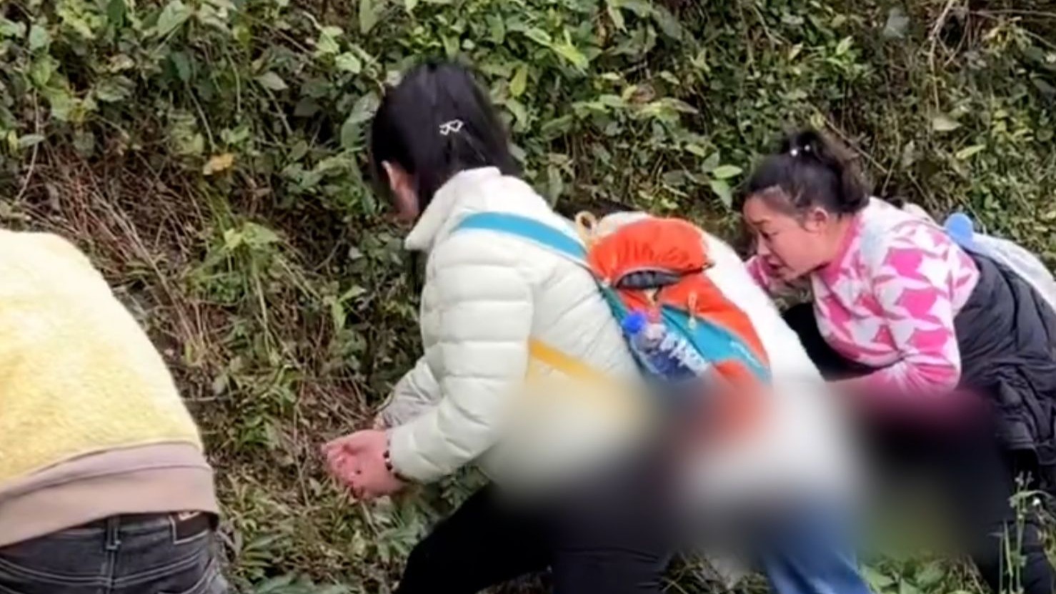 西南F4打野挖折耳根季节到了！看到走不动路，满满几袋挖到手软