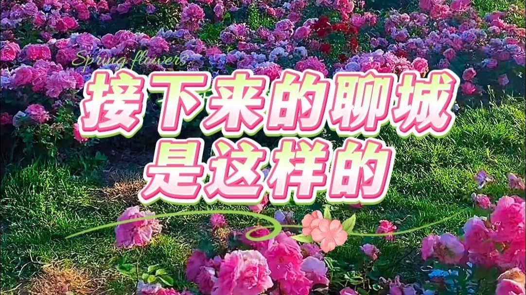 接下来的聊城是这样的