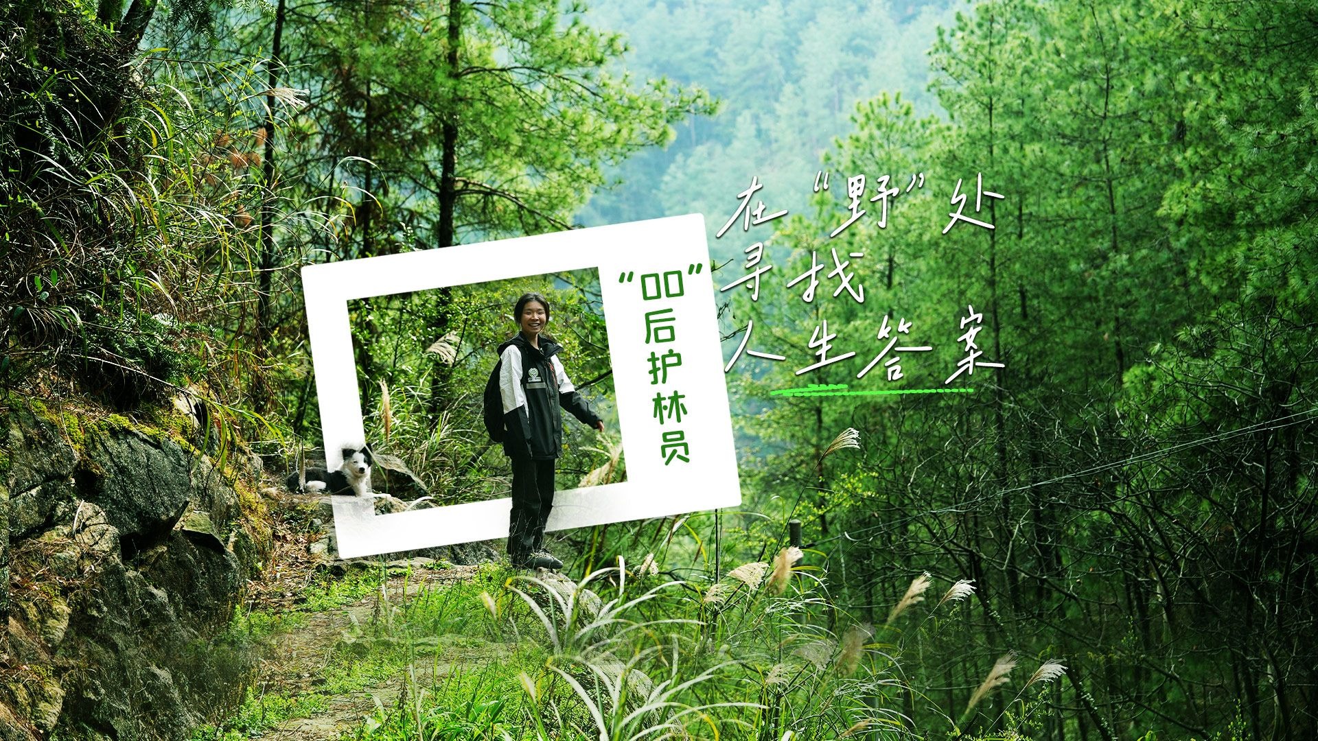“00后”护林员在“野”处寻找人生答案