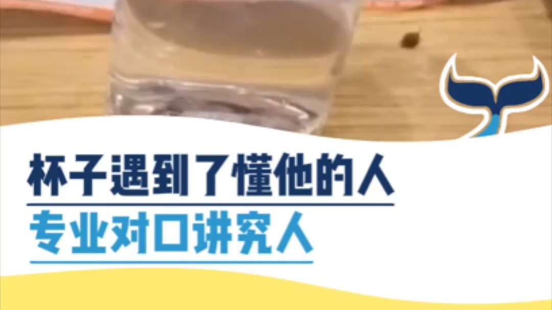 杯子遇到了懂它的人，专业对口讲究人