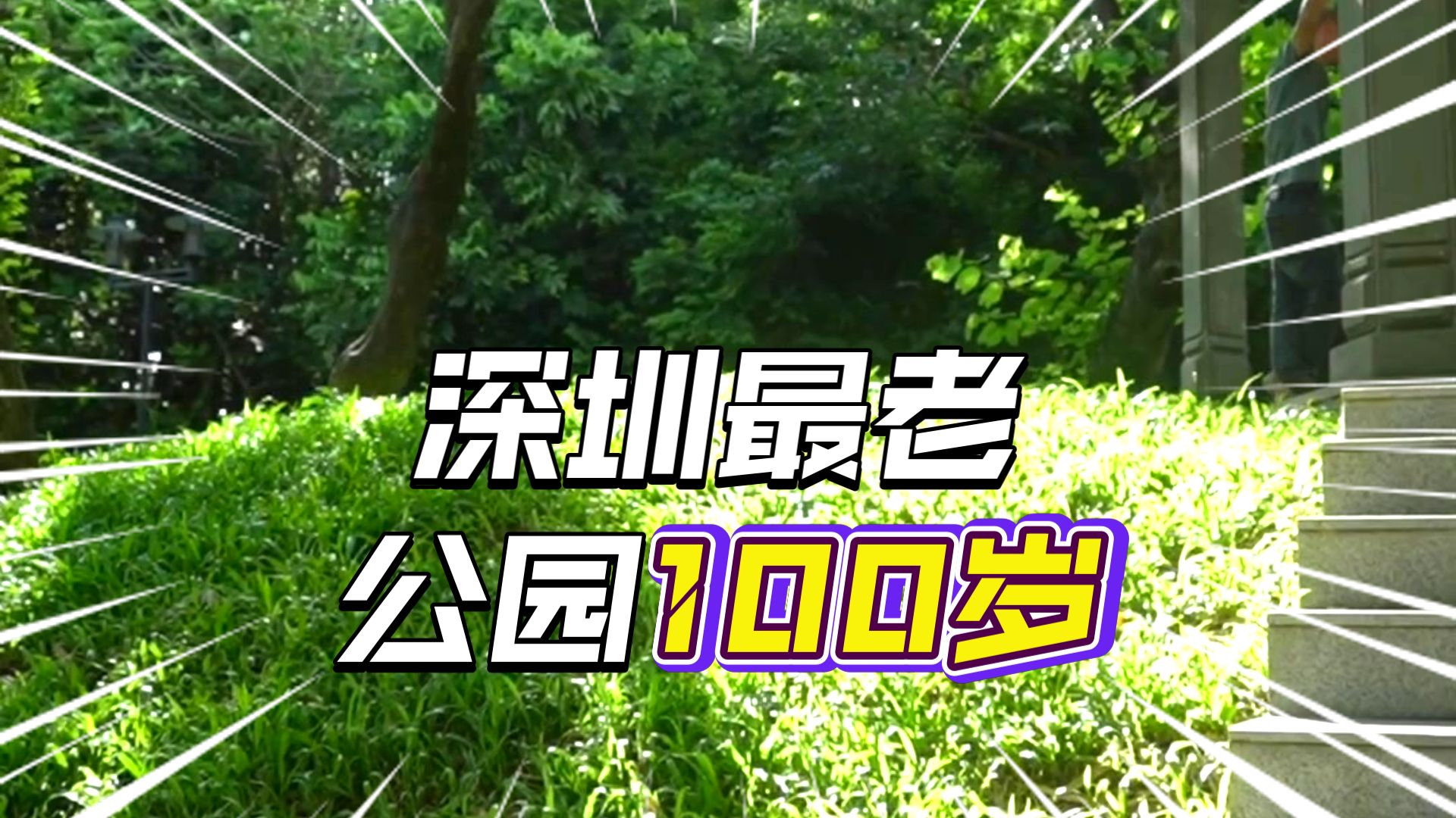 100岁中山公园 深圳“千园之城”始于它