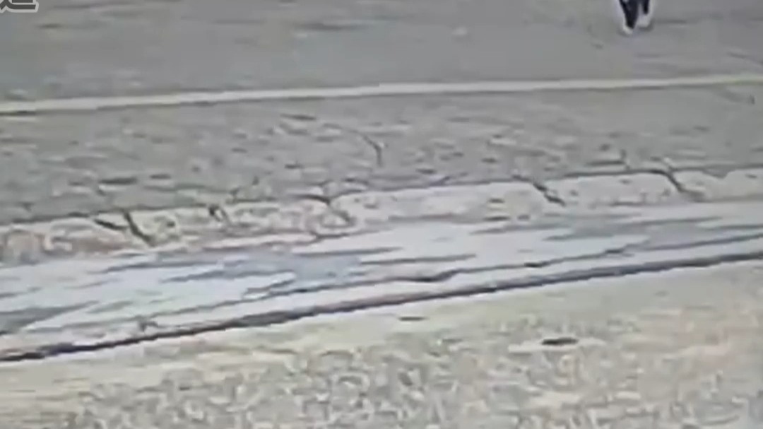 小猫车边逃生后天降食物 网友：大难不死必有后福