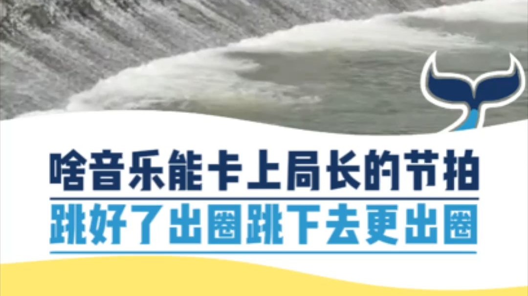 啥音乐都卡上局长的节拍，挑好了出圈跳下去更出圈