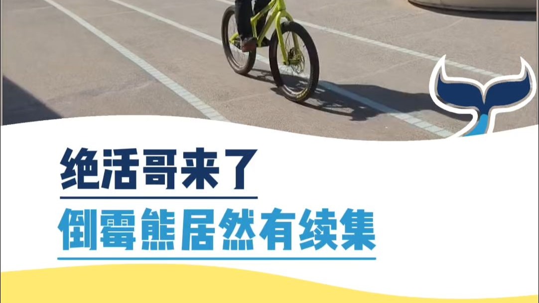 绝活哥来了，倒霉熊居然有续集
