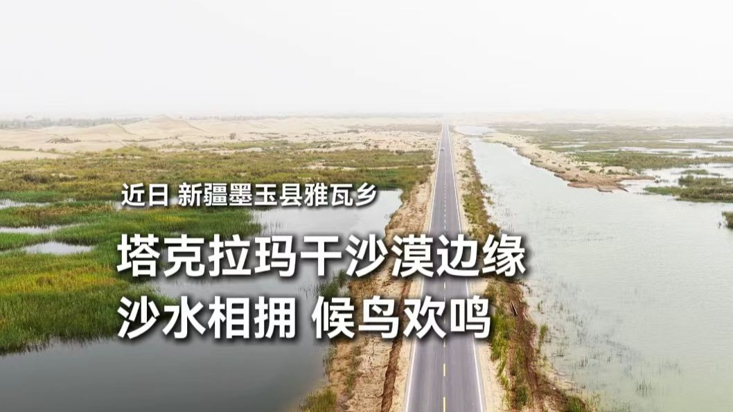 近日，新疆墨玉县雅瓦乡沙水相拥、候鸟欢鸣，沉寂的沙漠呈现出勃