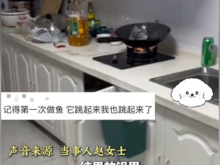 3月27日，辽宁沈阳，女子烧鱼遇多次“跃龙门”锅盖被震飞！当事人：