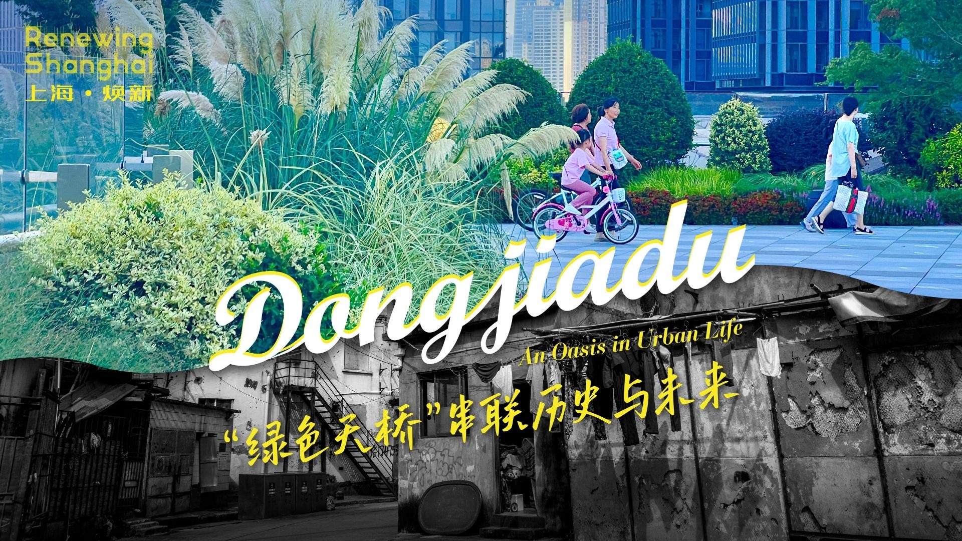 “绿色天桥”串联历史与未来