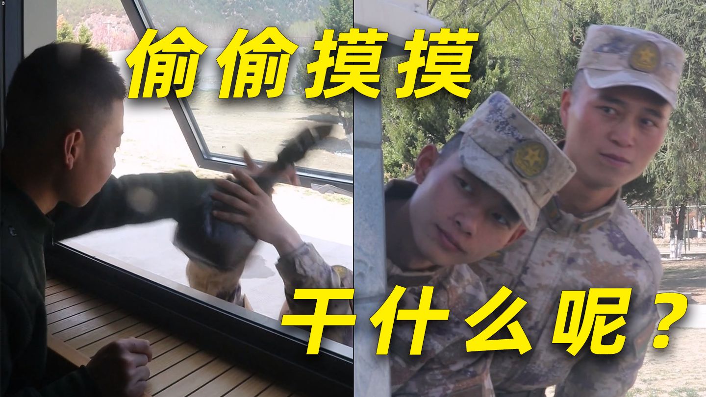 好孩子不要学哦~