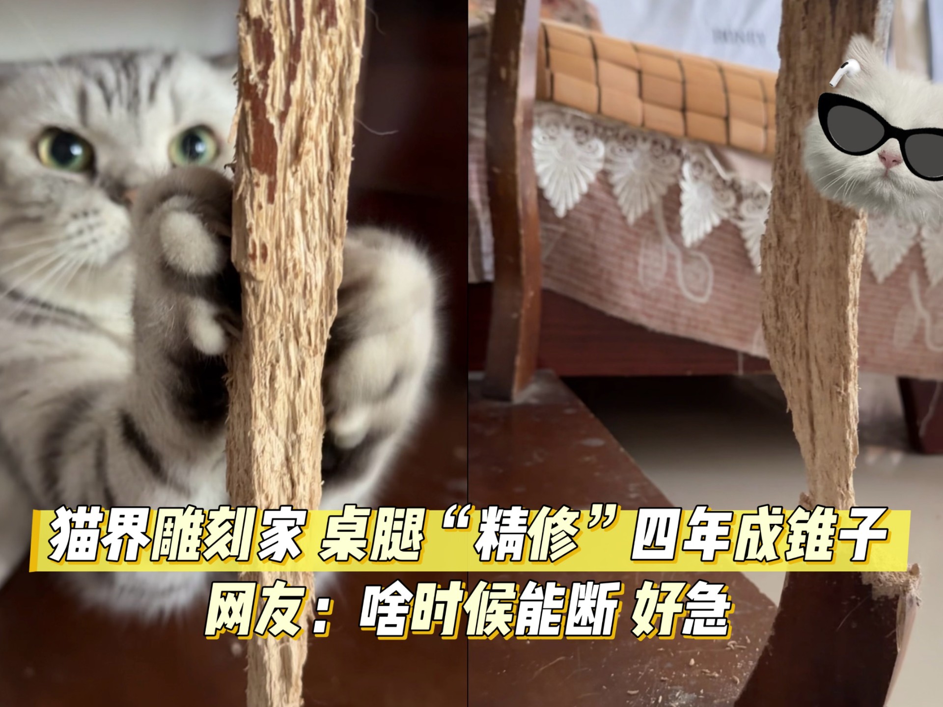 猫界雕刻家！桌腿“精修”四年成锥子，网友：啥时候能断 好急！来源#