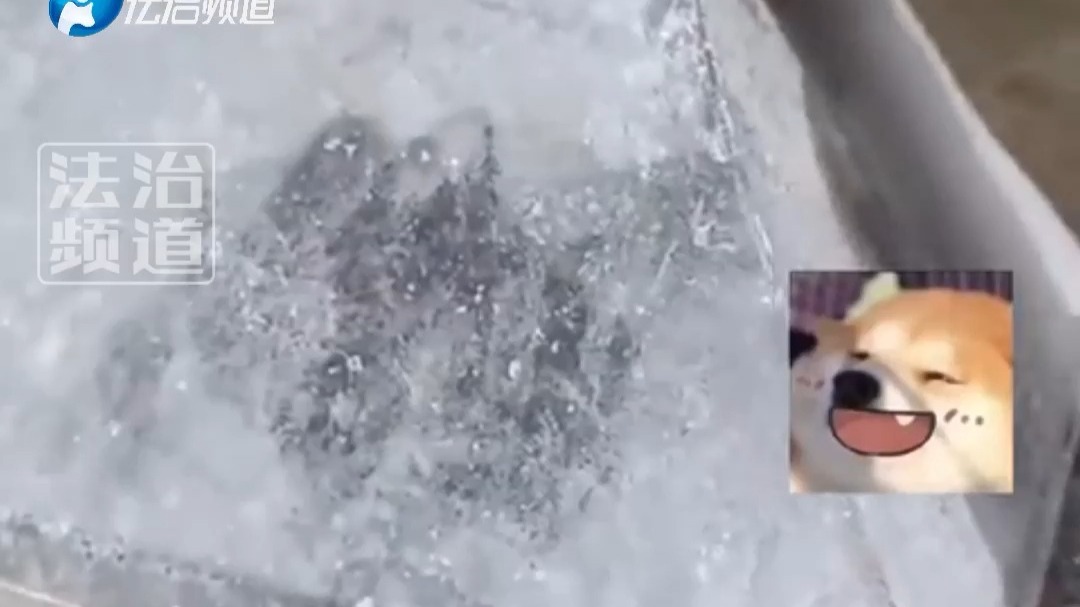 男子意外发现一个鸟窝 掀开一看被震惊到了 网友：还有排水系统