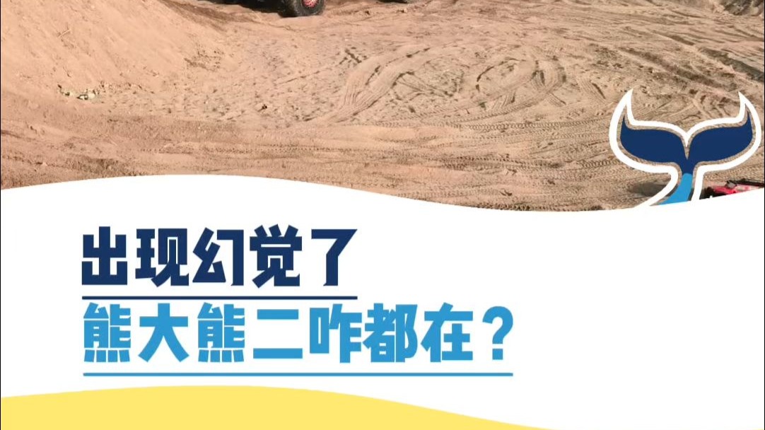出现幻觉了！熊大熊二咋都在？