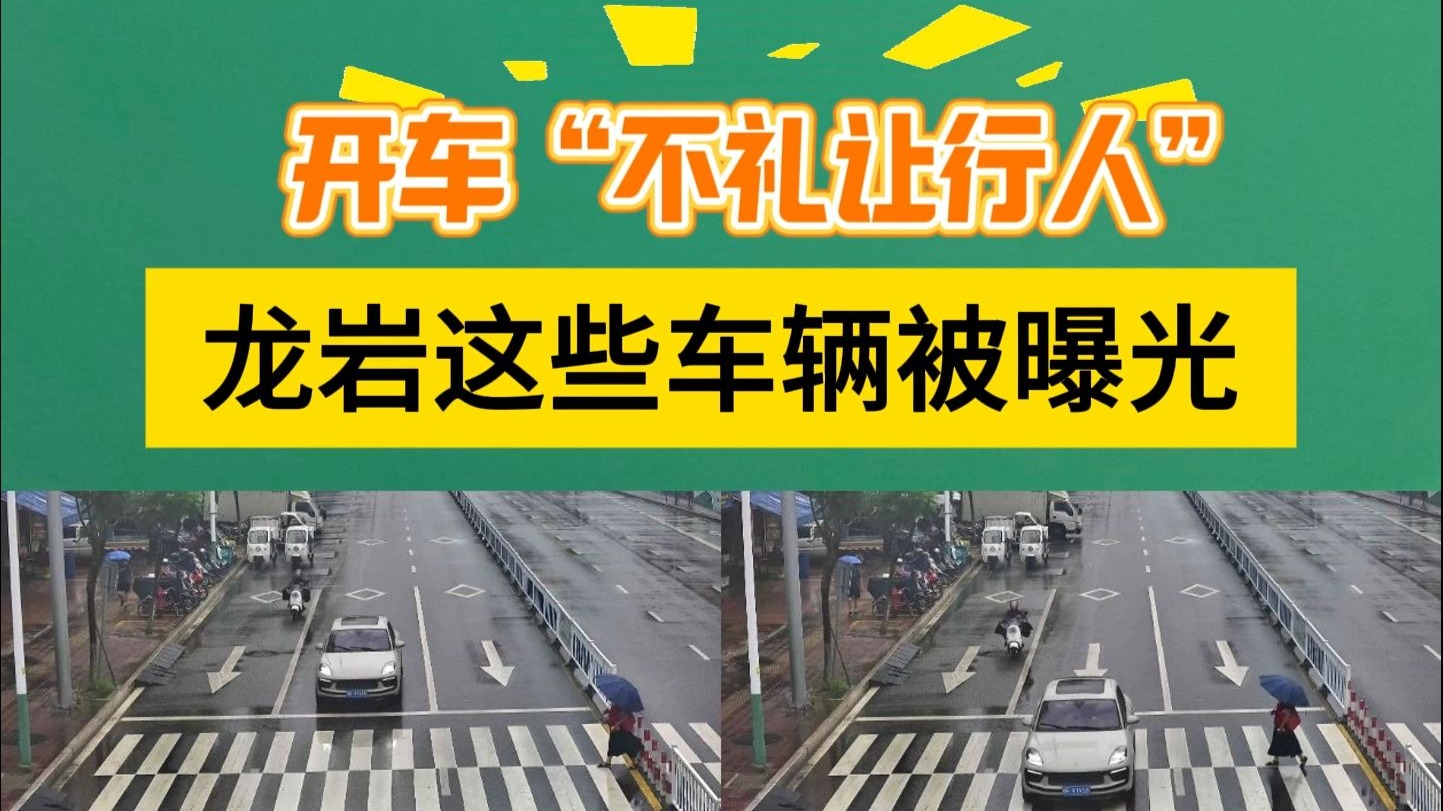 开车“不礼让行人” 龙岩这些车辆被曝光