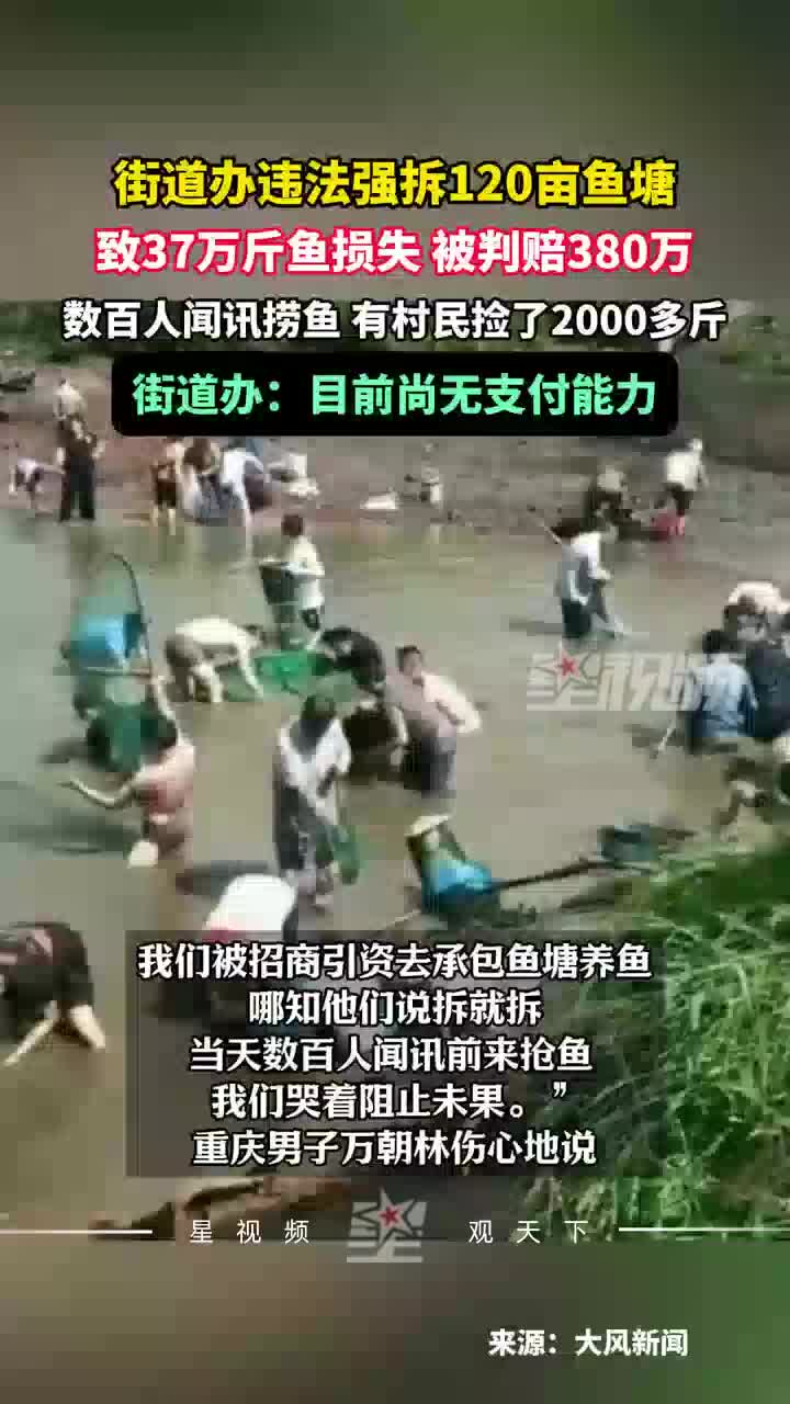 街道办违法强拆120亩鱼塘被判赔380万：尚无支付能力，可法拍抵债