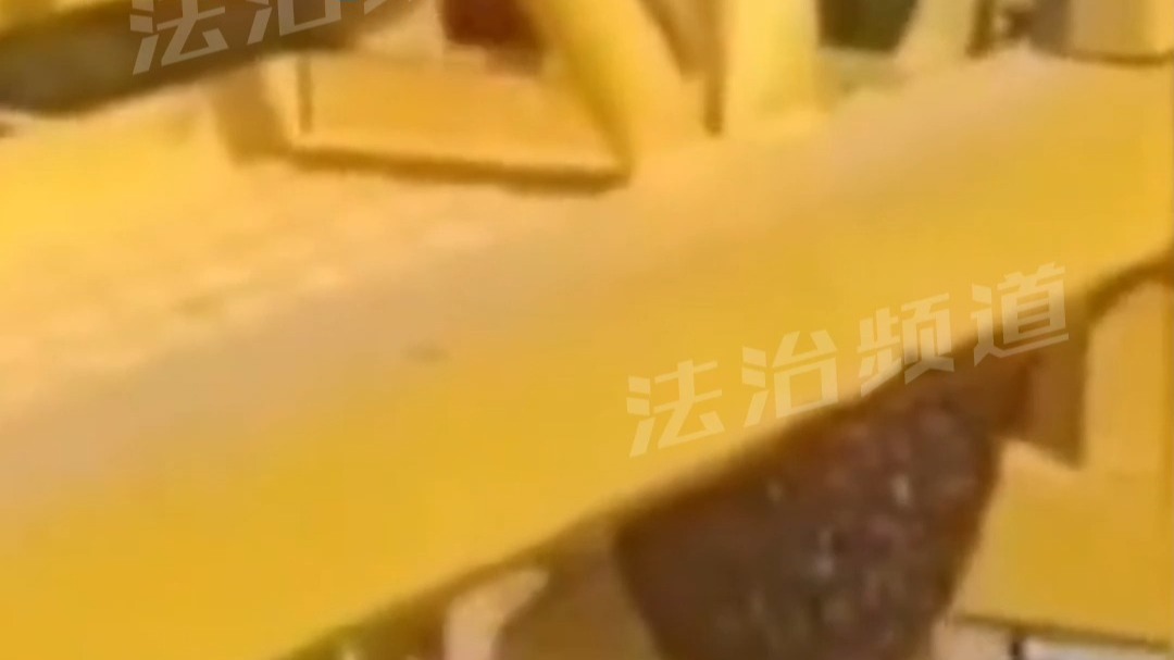工人操控吊塔摧毁一个马蜂窝 马蜂想报仇都找不到人