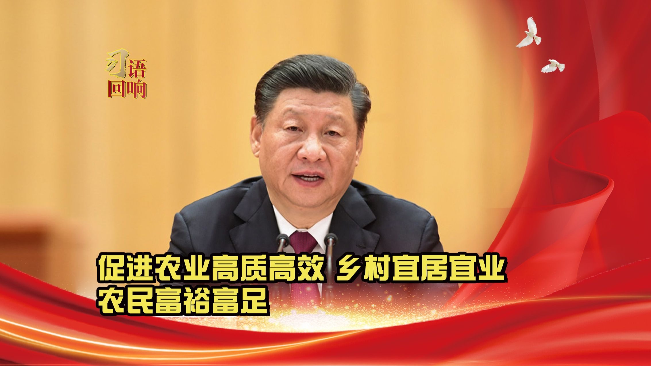 习语回响丨促进农业高质高效 乡村宜居宜业 农民富裕富足