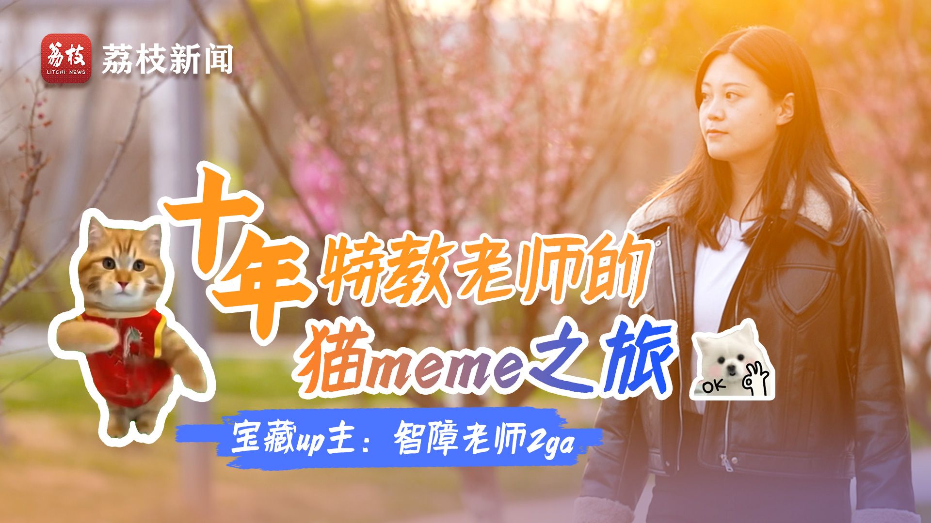十年特教老师的猫 meme 之旅