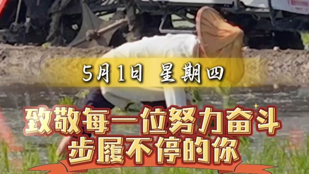 落花随春去，余香伴夏来。早上好！致敬每一位努力奋斗，步履不停的
