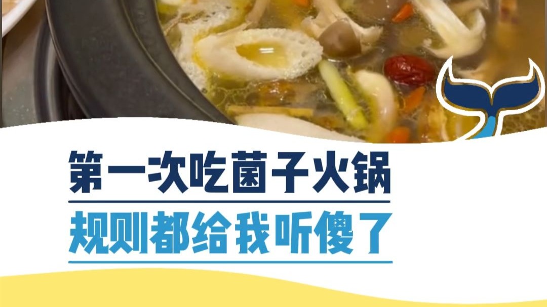 第一次吃菌子火锅，规则都给我听傻了