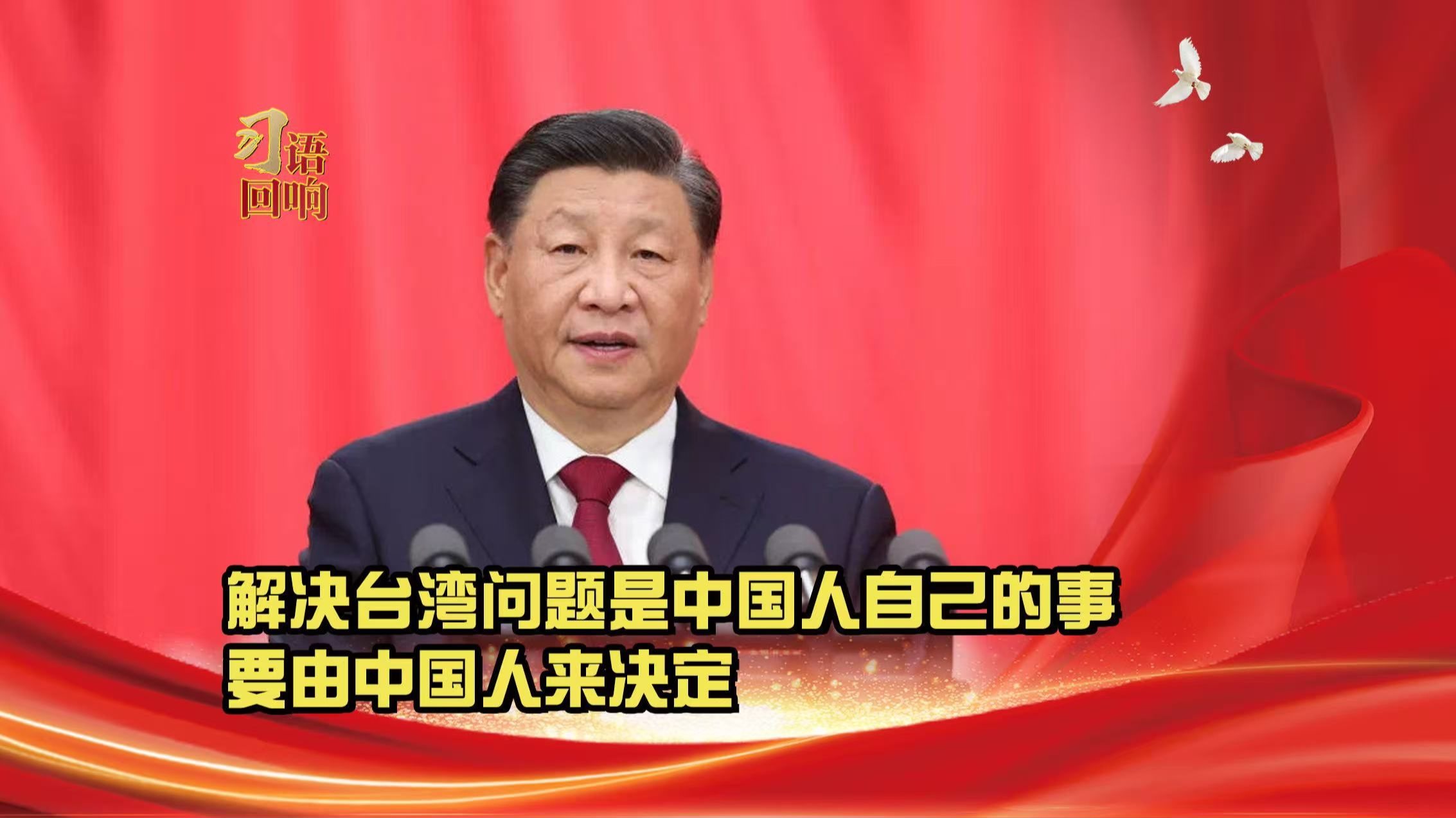 习语回响丨解决台湾问题是中国人自己的事 要由中国人来决定