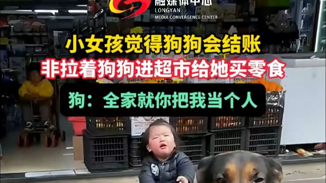 小女孩觉得狗狗会结账，非拉着狗狗进超市给她买零食，狗：全家就你
