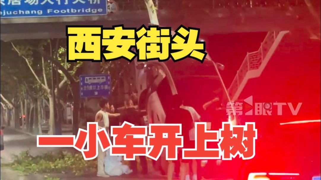 凌晨一声巨响！西安街头一小车开上树