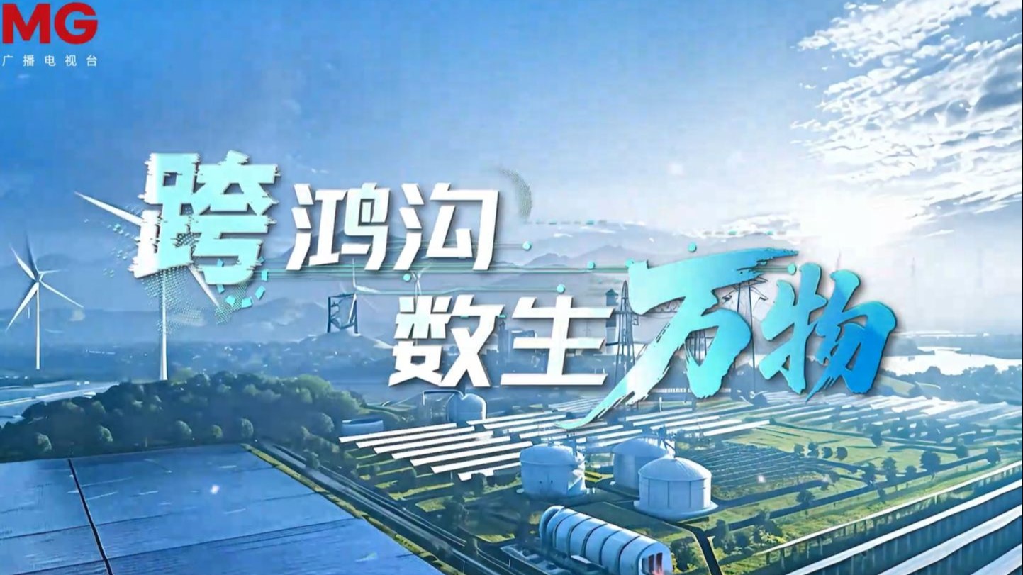 《跨鸿沟 数生万物》