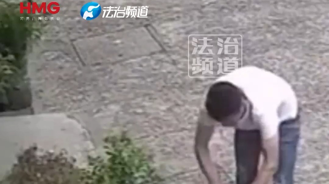 男子把鸡关在笼子里 鸡撞破笼子像鸟一样飞走了