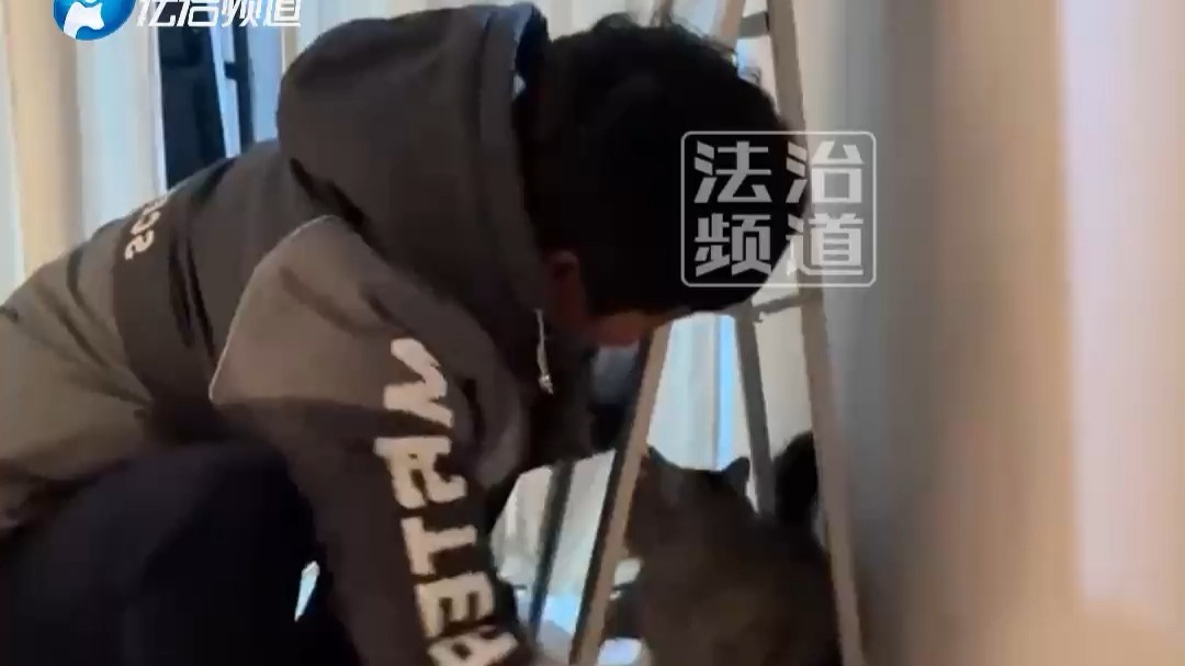 主人用两只手不停的逗猫咪 给猫咪气坏了：你拉二胡呢 (钧)