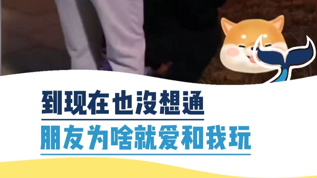 到现在也没想通 朋友为啥就爱和我玩