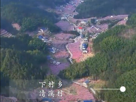 历时三天拍摄，辗转数百公里，走遍炎陵各大黄桃产区。只为把最美