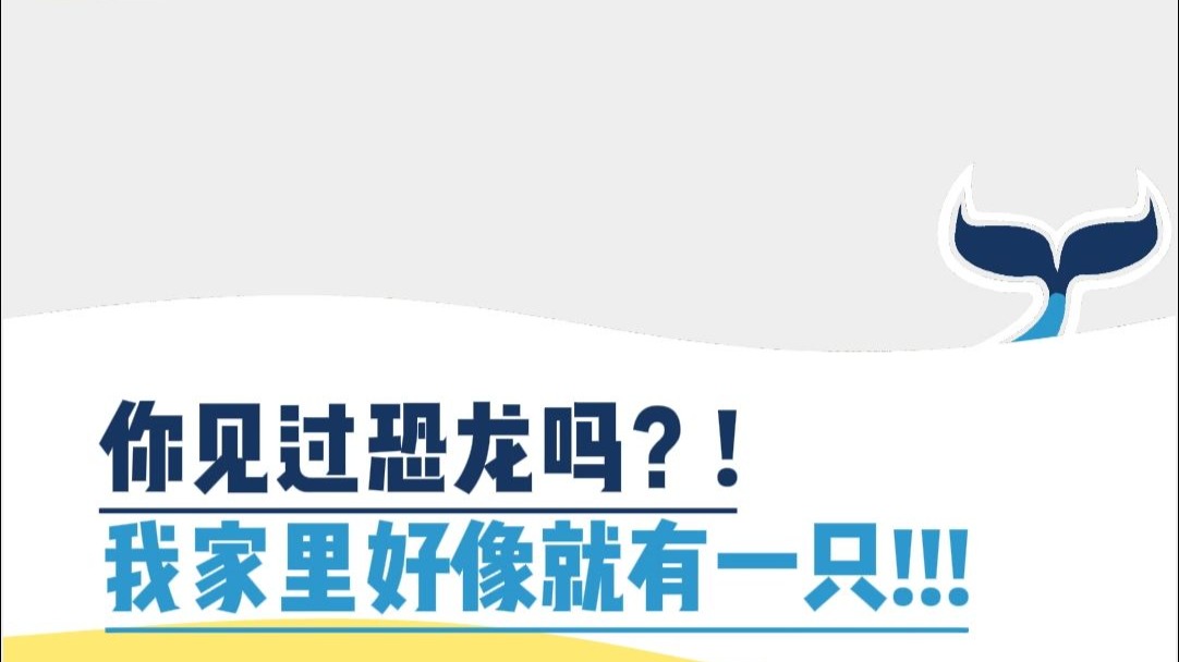 你见过恐龙吗？我家里好像就有一只
