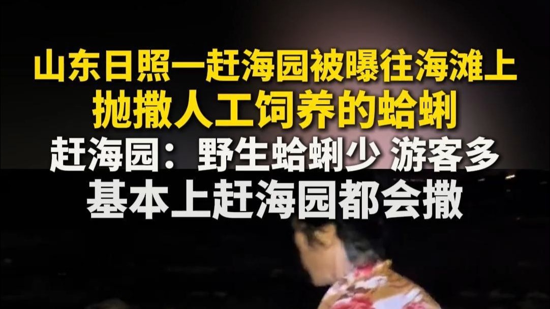 山东日照一赶海园被曝往海滩上抛撒人工饲养的蛤蜊 赶海园：野