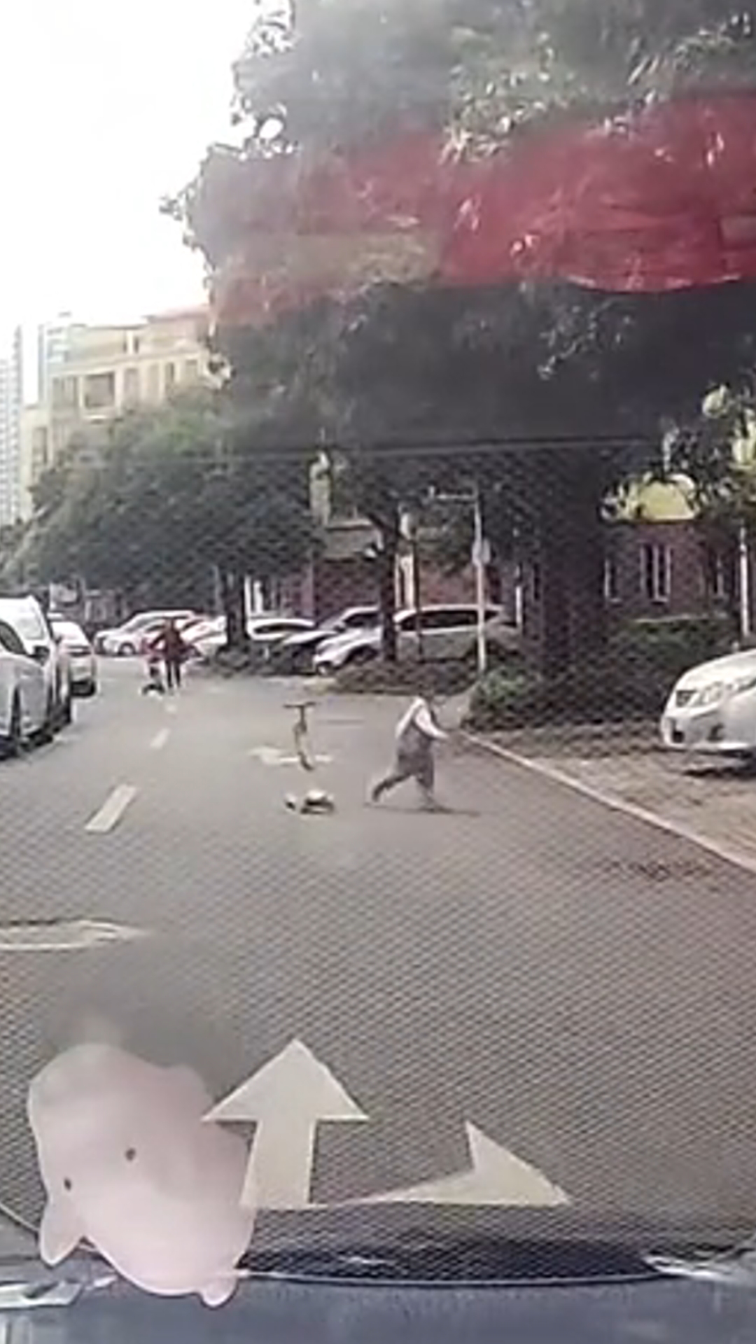萌娃遇小车扔下滑板车小跑躲路边，司机被逗乐：超强安全意识