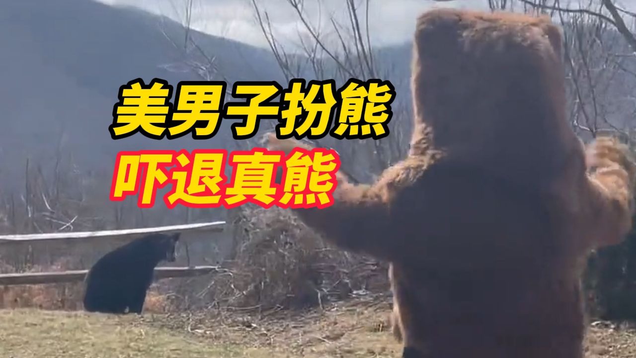美国男子套上卡通熊人偶服，成功吓退闯入自家后院的真熊，黑熊跑