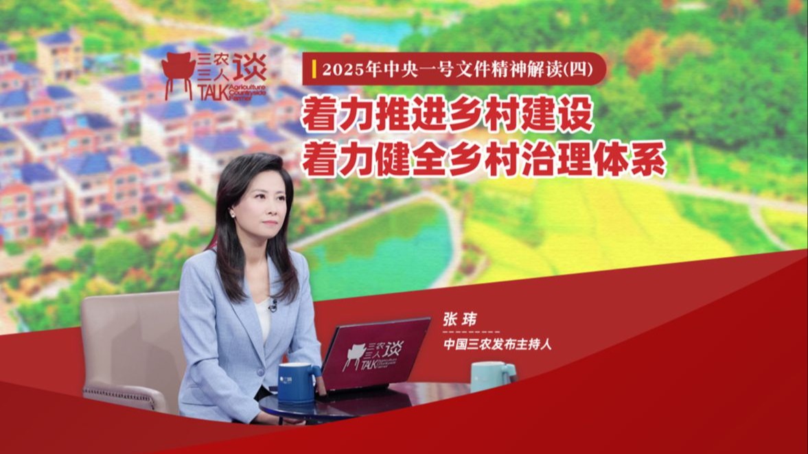 三农三人谈丨2025年中央一号文件精神解读（四）：着力推进乡村建设