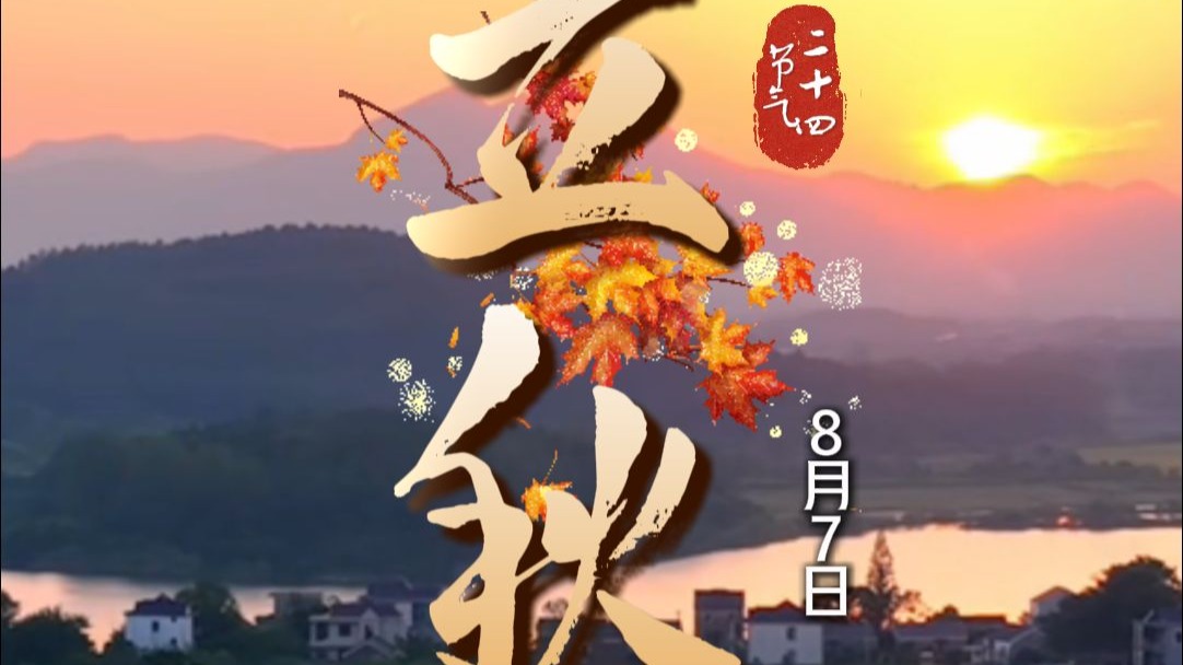 今日立秋 来无为赏秋意之美