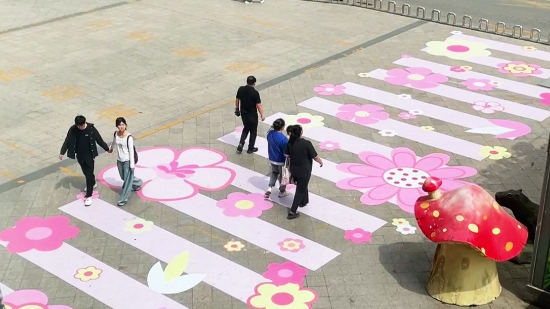 当斑马线变成樱花海 在潍坊邂逅一场春日浪漫