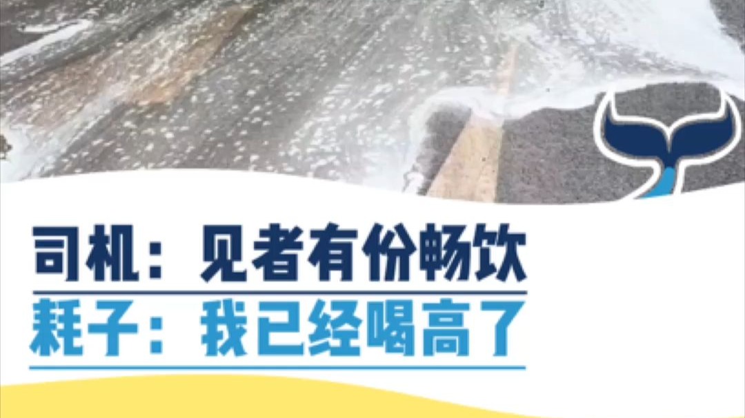司机：见者有份，耗子：我已经喝高了！