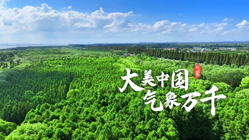 夏日里，魔都上海的一抹清凉绿色——崇明