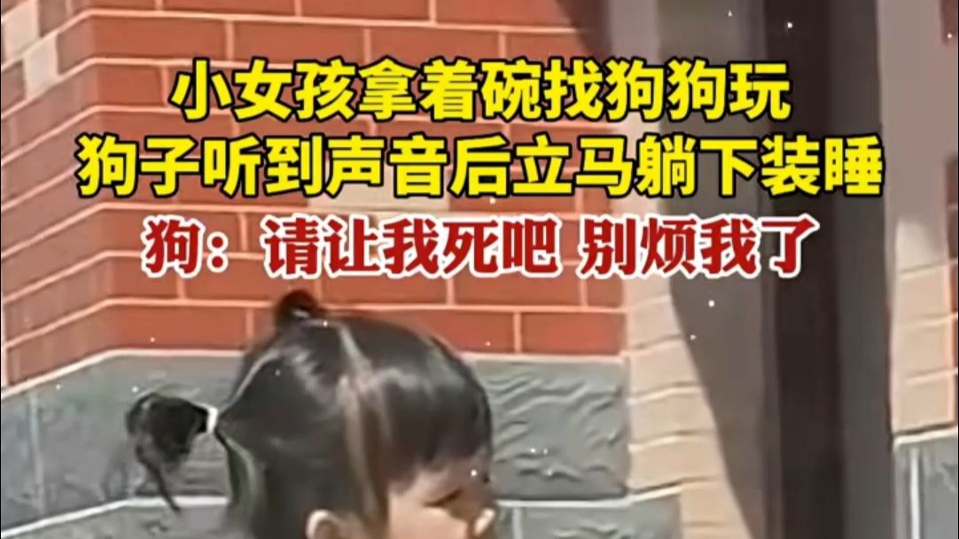 狗：请让我死吧，烦死了！