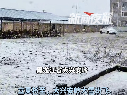 5月1日黑龙江大兴安岭呼中：漫天飞雪迎“五一”，五月份哪里还能
