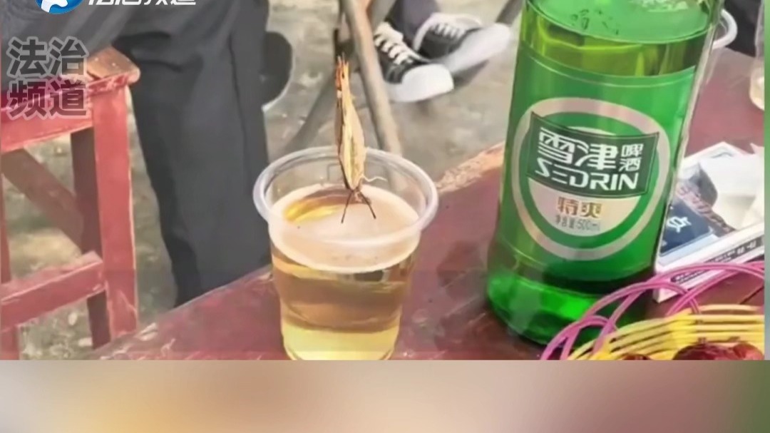 婚宴上一只蝴蝶飞上酒杯 喝了一个小时醉得站不稳脚（K）