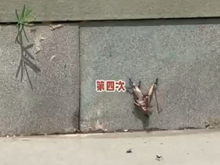 坚持不懈，终会成功